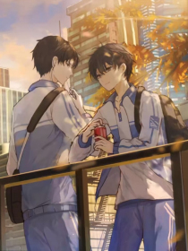 猫咪海外永久入口